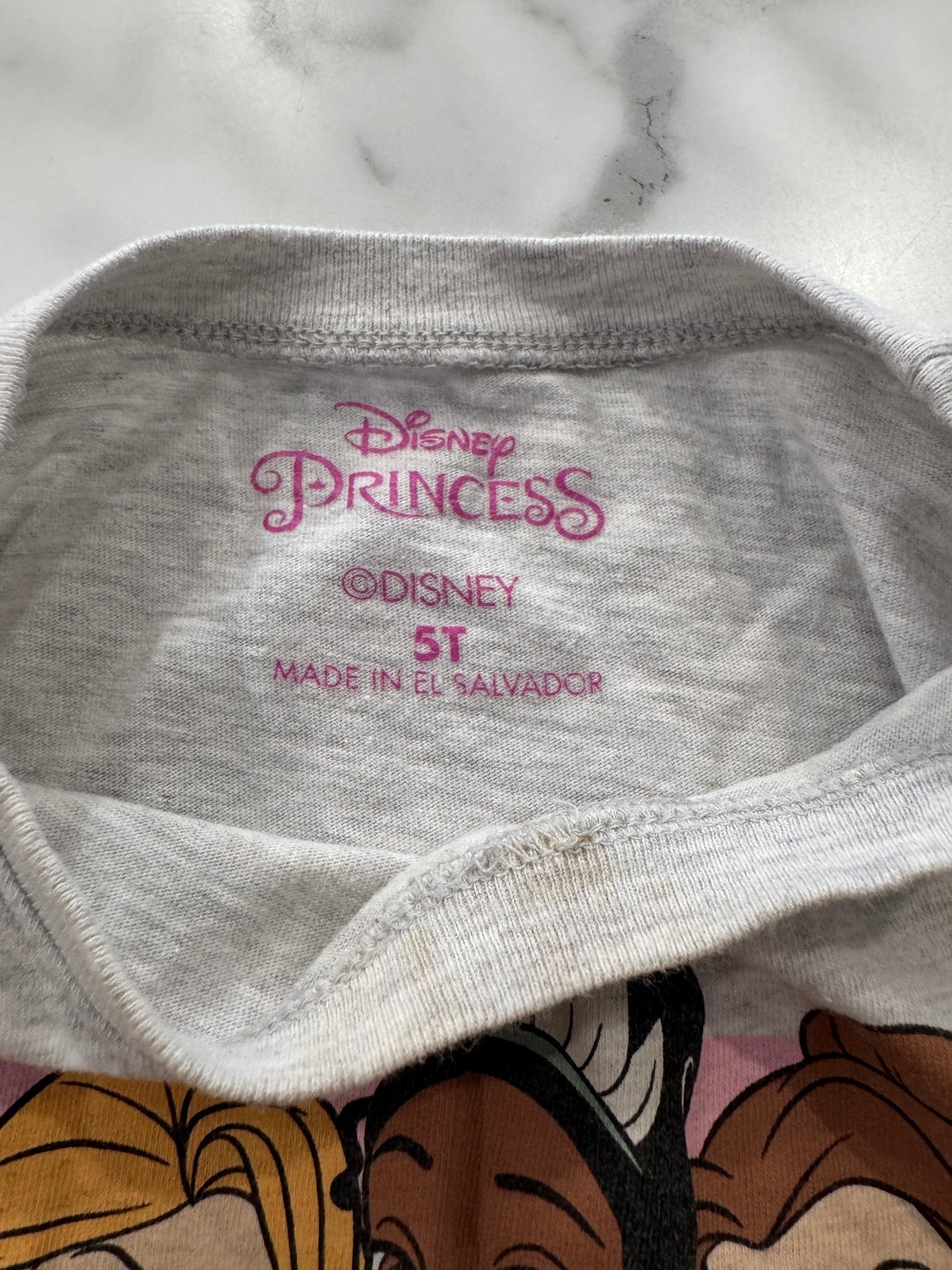 Disney Princess Short Sleeve Tee 5T - Haven on Summer HillDollar Bin